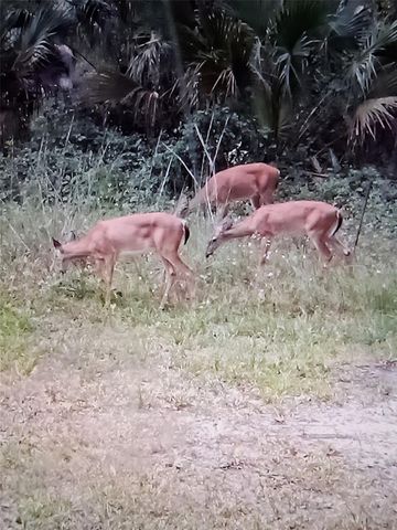 12503 AVERY ROAD, Thonotosassa, FL 33592