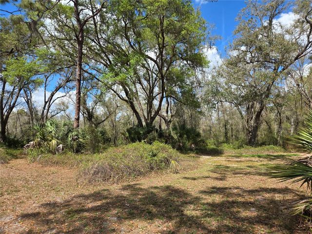 12503 AVERY ROAD, Thonotosassa, FL 33592