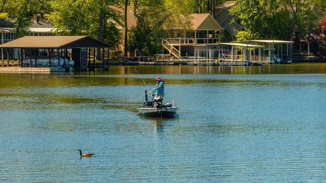 325 Galveston Rd Drive, Hot Springs, AR 71913