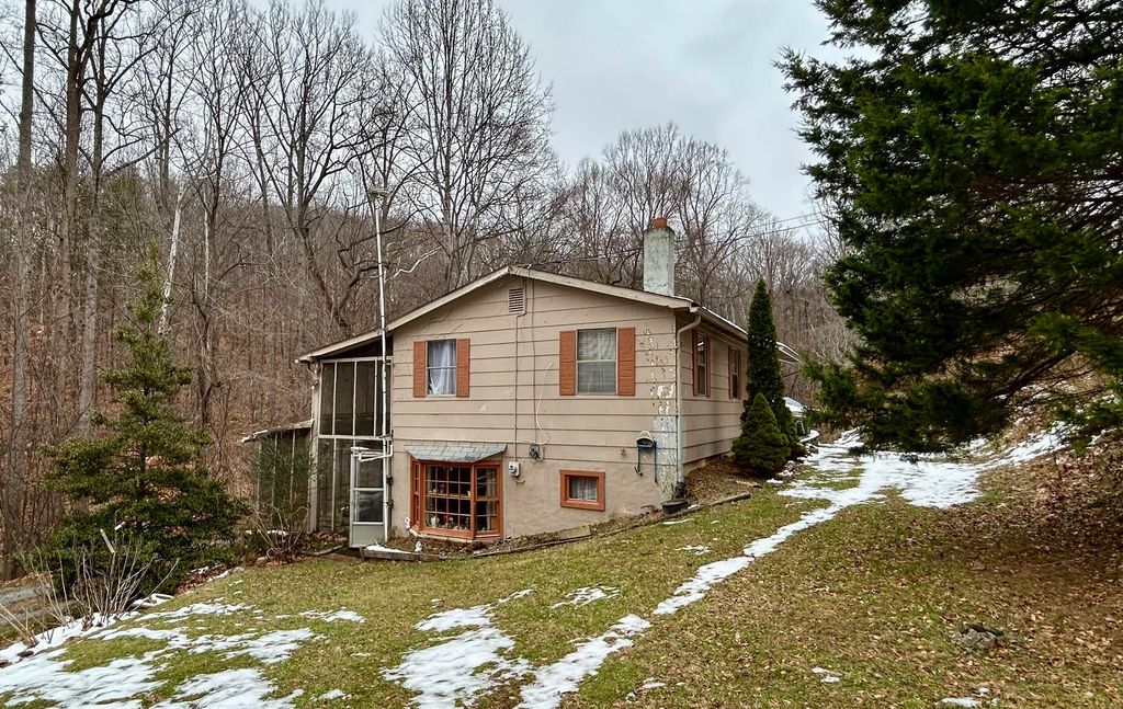 308 Spring Hollow RD, Troutville, VA 24175