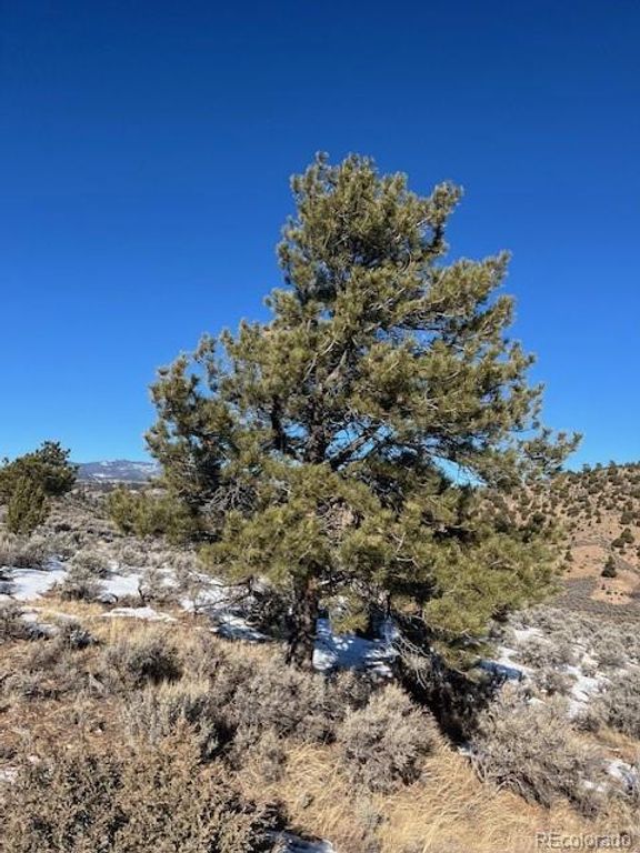 4850 Akers, Fort Garland, CO 81133