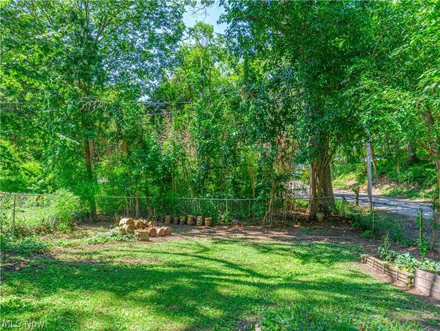 260 E Pace Avenue, Akron, OH 44319