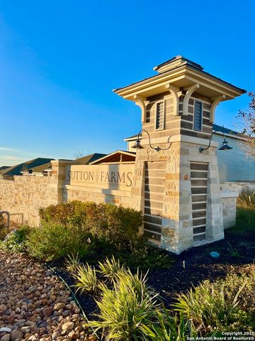 3226 Golden Dandelion, San Antonio, TX 78222