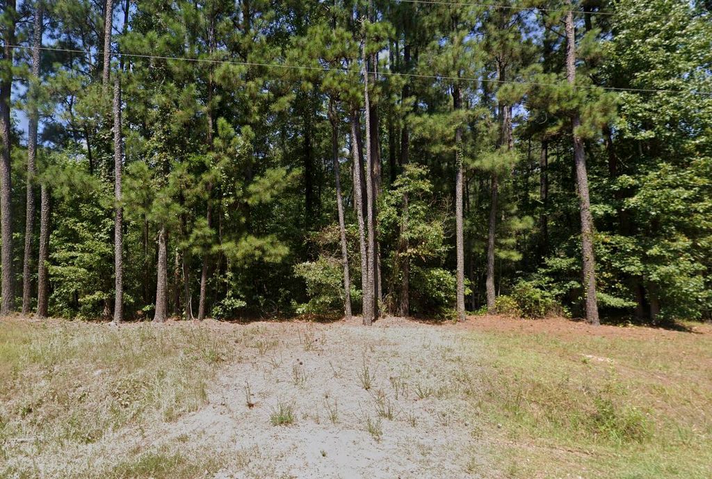 Lot 421-C Lost Wilderness Road, Clarks Hill, SC 29821
