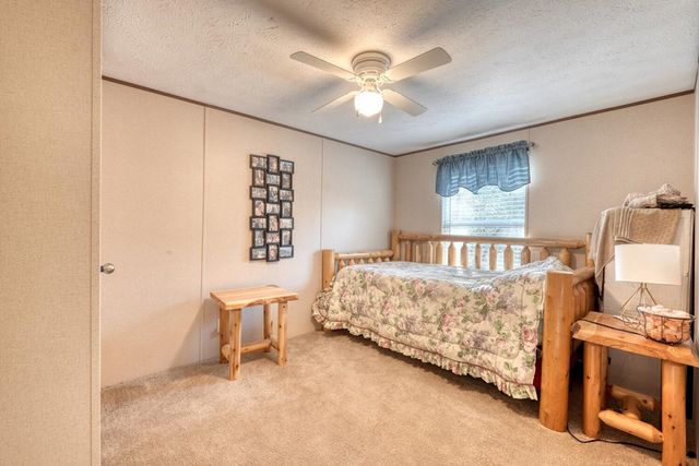 358 Old Beech Road, Blairsville, GA 30512