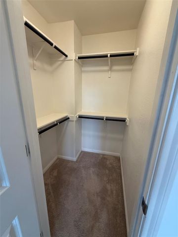 234 Spiny Lizard LN, San Marcos, TX 78666