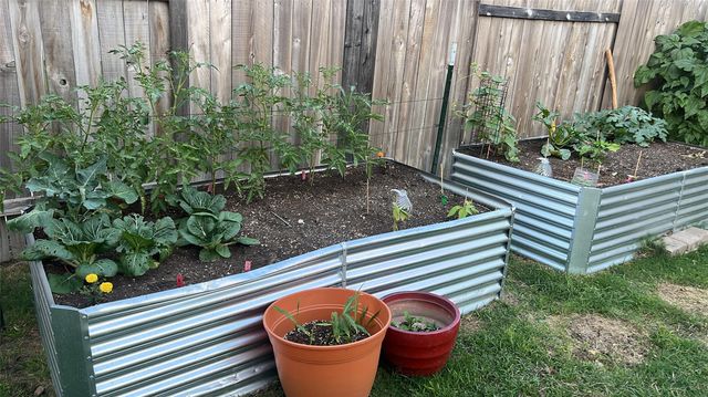 234 Spiny Lizard LN, San Marcos, TX 78666