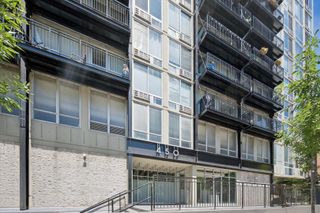 450 W Briar Place 9C, Chicago, IL 60657