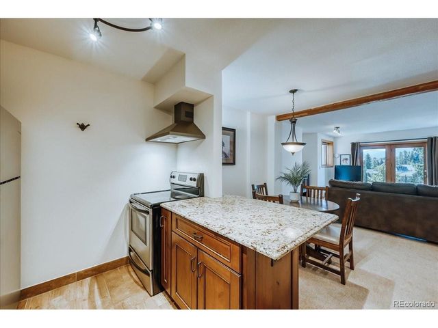 875 Four Oclock Rd D-D1, Breckenridge, CO 80424