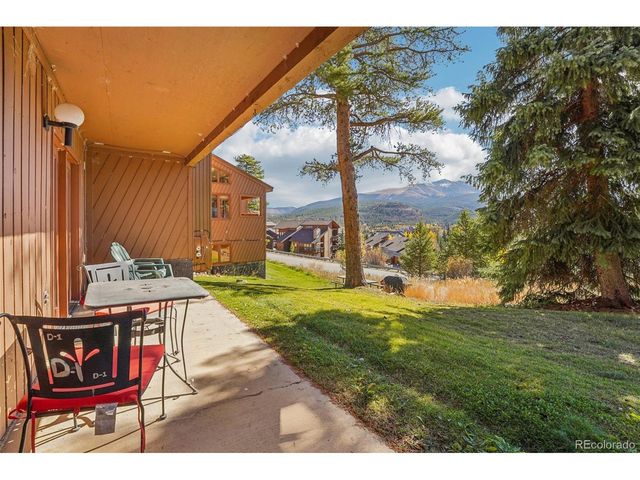 875 Four Oclock Rd D-D1, Breckenridge, CO 80424