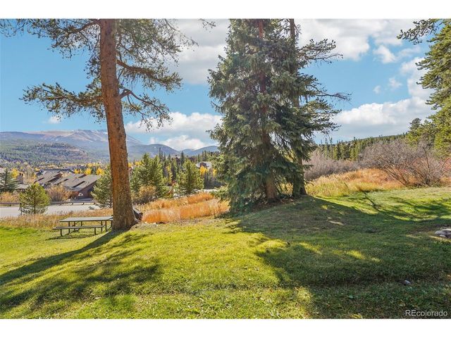 875 Four Oclock Rd D-D1, Breckenridge, CO 80424