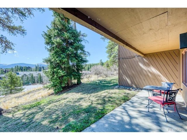 875 Four Oclock Rd D-D1, Breckenridge, CO 80424