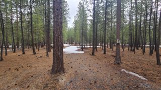 52328 Elderberry Court, La Pine, OR 97739