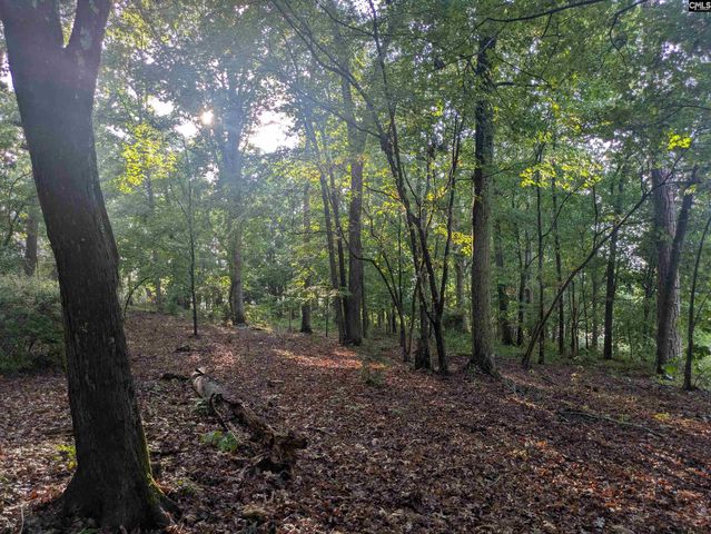 779 Hope Ferry Road, Lexington, SC 29072