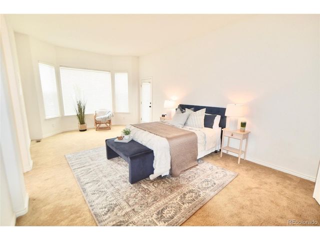 7304 Sapphire Pointe Blvd, Castle Rock, CO 80108