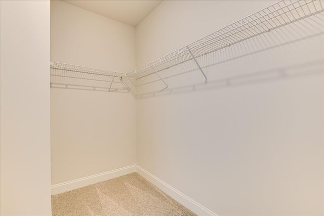 3298 Tracker Lane, Warrenville, SC 29851