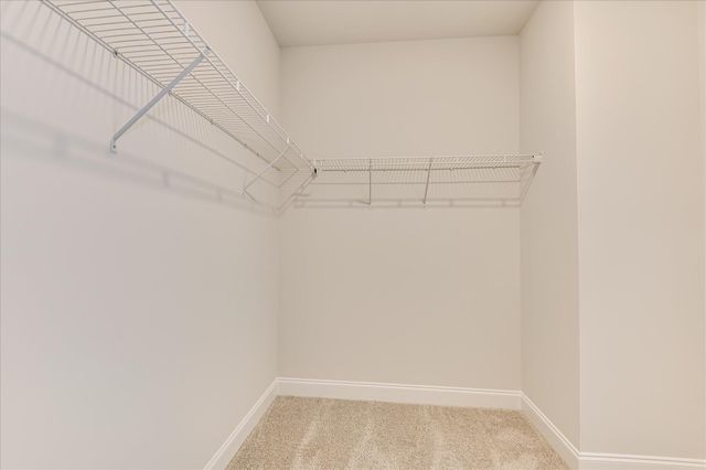 3298 Tracker Lane, Warrenville, SC 29851