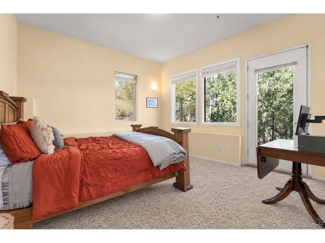 107 Ponderosa Dr, Nederland, CO 80466