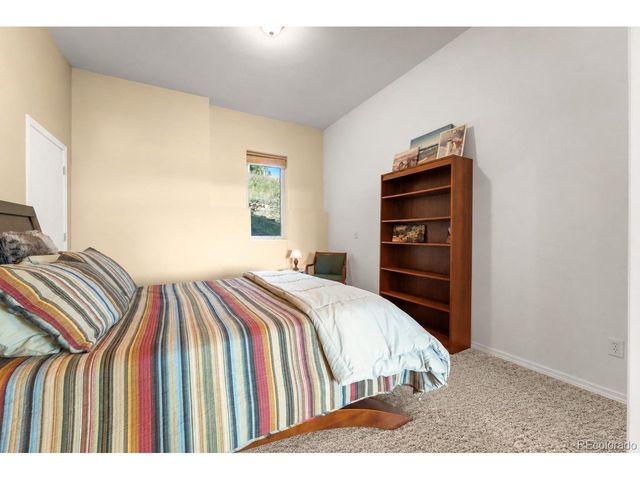 107 Ponderosa Dr, Nederland, CO 80466