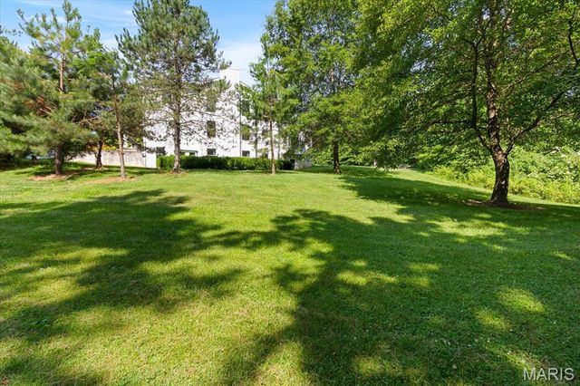 4 Hahn Estate Road, Winfield, MO 63389