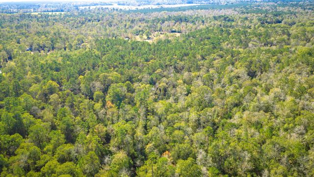 Lot 2 & 3 Portico, Livingston, TX 77351