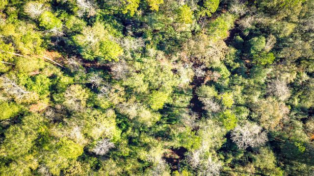 Lot 2 & 3 Portico, Livingston, TX 77351