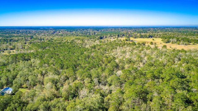 Lot 2 & 3 Portico, Livingston, TX 77351