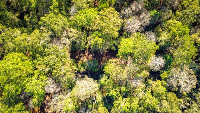 Lot 2 & 3 Portico, Livingston, TX 77351