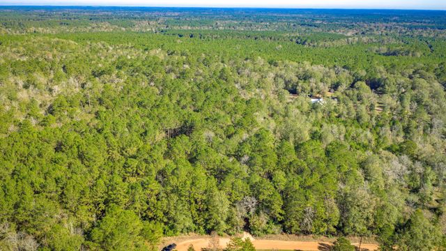 Lot 2 & 3 Portico, Livingston, TX 77351