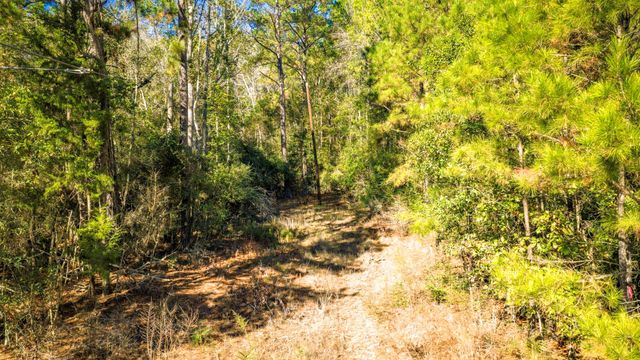 Lot 2 & 3 Portico, Livingston, TX 77351