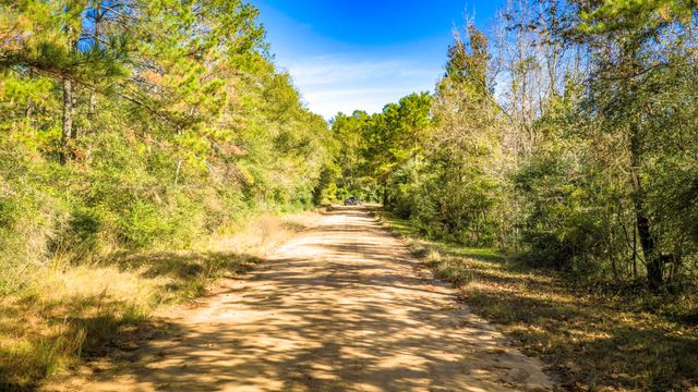 Lot 2 & 3 Portico, Livingston, TX 77351