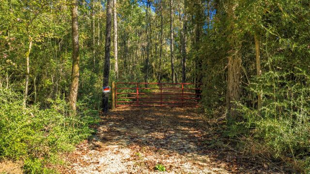 Lot 2 & 3 Portico, Livingston, TX 77351