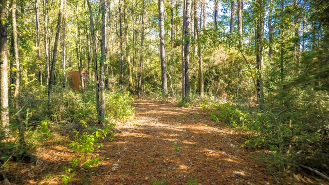 Lot 2 & 3 Portico, Livingston, TX 77351