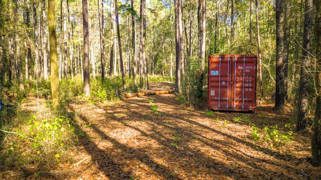 Lot 2 & 3 Portico, Livingston, TX 77351