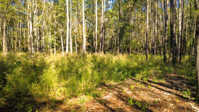 Lot 2 & 3 Portico, Livingston, TX 77351