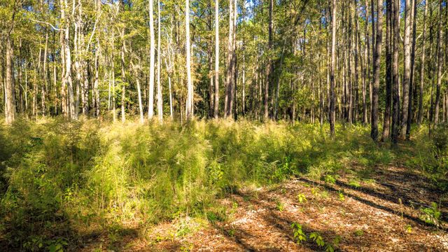 Lot 2 & 3 Portico, Livingston, TX 77351