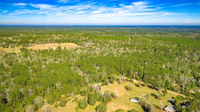 Lot 2 & 3 Portico, Livingston, TX 77351