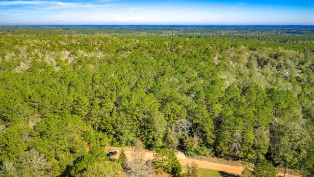Lot 2 & 3 Portico, Livingston, TX 77351