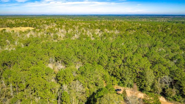 Lot 2 & 3 Portico, Livingston, TX 77351