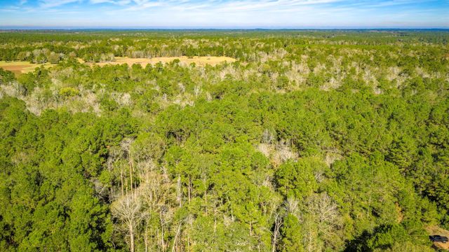 Lot 2 & 3 Portico, Livingston, TX 77351