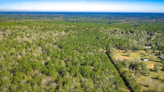 Lot 2 & 3 Portico, Livingston, TX 77351