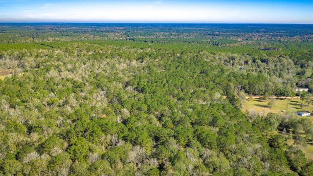 Lot 2 & 3 Portico, Livingston, TX 77351