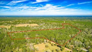 Lot 2 & 3 Portico, Livingston, TX 77351