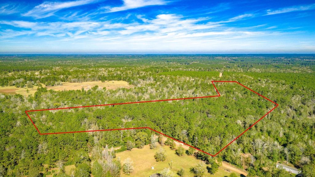 Lot 2 & 3 Portico, Livingston, TX 77351