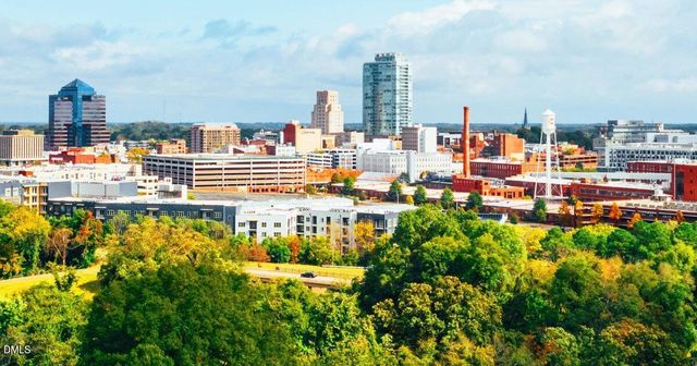 1103 Bell Heather Road 2, Durham, NC 27703