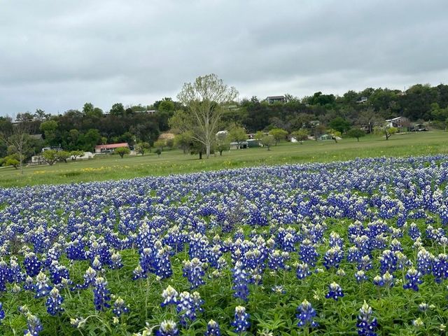 105 Singleton DR, Spicewood, TX 78669