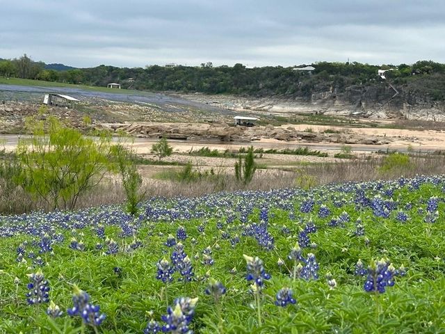 105 Singleton DR, Spicewood, TX 78669