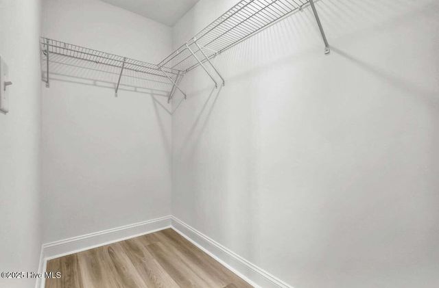 317 Starfish Lane, Sneads Ferry, NC 28460