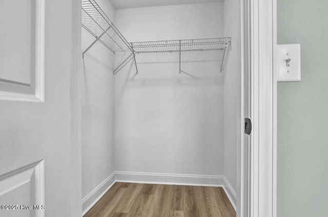 317 Starfish Lane, Sneads Ferry, NC 28460