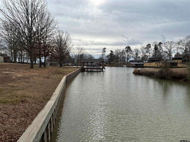 132 CR 2933, Pittsburg, TX 75686